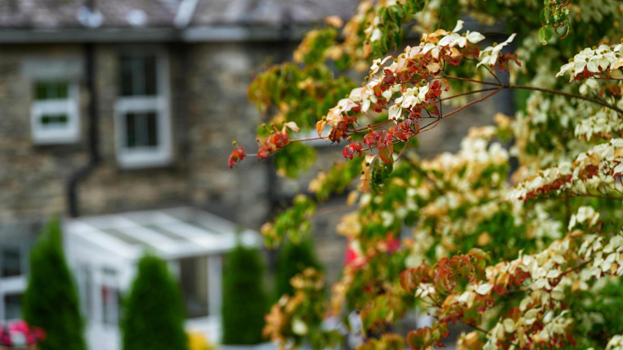 Tyn Y Fron 6 Bedroom House In Betws-Y-Coed Snowdonia ภายนอก รูปภาพ